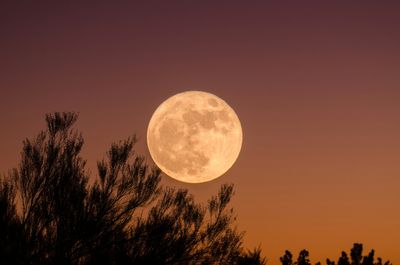 Supermoon 2025: November 5 Delivers 14% Bigger, 30% Brighter Lunar Show