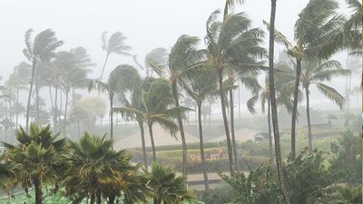 Hundreds of travellers face cancellations and flight delays as Hurricane Melissa hits