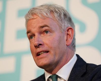 Reform UK would let ministers ignore international law, Kruger says