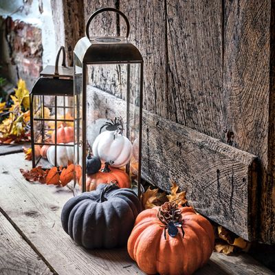 If you're carving pumpkins this Halloween, experts are warning not to skip this vital step – it will make a huge difference