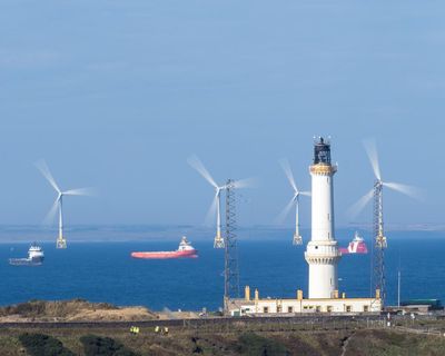 Offshore windfarm projects may be exempted from new UK nature rules