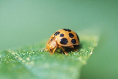 From errant birdseed to mint mishaps, gardening can be as scary as any Halloween night