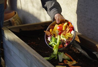 Why Compost Smells Different in Autumn