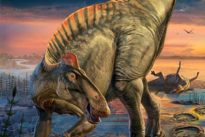 Remains of dinosaur ‘mummies’ found 100 years ago in Wyoming still have skin and hooves, researchers say