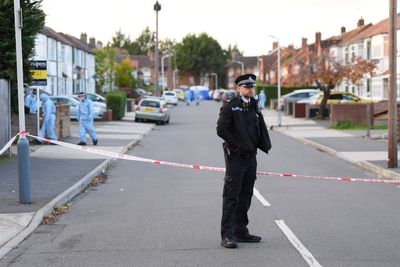 Man arrested over Uxbridge stabbing entered UK in lorry in 2020, officials say