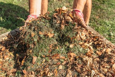 How Mulched Leaves Reduce Soil Erosion