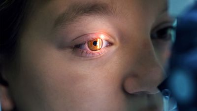 Scientists claim you can't see the difference between 1440p and 8K at 10 feet in new study on the limits of the human eye — would still be an improvement on the previously-touted upper limit of 60 pixels per degree