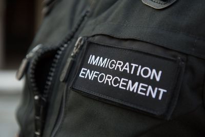 214 held by immigration enforcement for working illegally in Northern Ireland