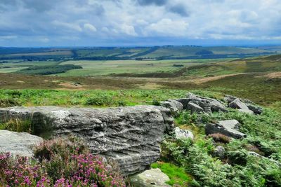 David Attenborough backs bid to save vast upland estate ‘for nature and nation’