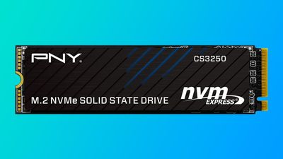 PNY's speedy PCIe 5.0 SSD with 14.9 GB/s speeds starts at $125 — the first Phison E28-powered drive to reach the retail market