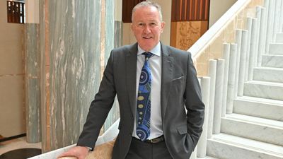 Labor's Irish roots prompt call for referendum help