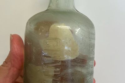 WWI messages in a bottle found on beach after a century