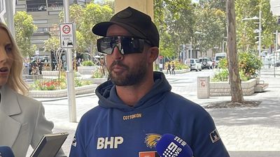 Accused Nazi saluter professes love for Australia