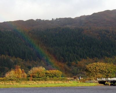 Country diary: A landscape transforming in front of my eyes