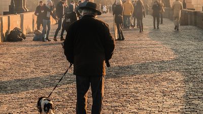 Dog Walker, 49, Killed in Knife Attack — Suspect Is Afghan National Who Entered UK Illegally in 2020