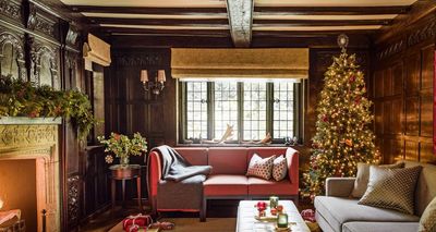 ALDI Just Brought Back the Christmas Decor Trend Everyone Is Obsessed With – And at Only $8.99, You Can Easily Recreate the Mini Tree Bow Look Now