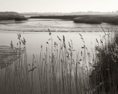 Saltwash by Andrew Michael Hurley review – raw, dark folk horror confronts mortality