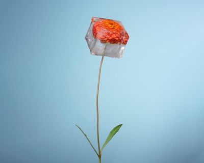 Sali Hughes on beauty: the best perfumes for winter