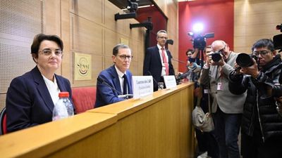 Louvre security is 'not up to standard' warns French senator