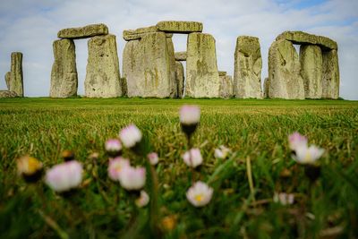 Weigh up protest rights before deciding JSO verdicts, Stonehenge jury told