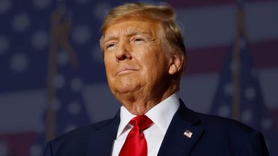 Trump reveals his mass deforestation plans as retaliation to Canada, says the US will grow its own lumber