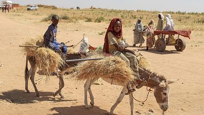 Sudanese paramilitary group accused of killing hundreds in North Darfur hospital