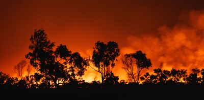 In 2024, the climate crisis worsened in all ways. But we can still limit warming with bold action