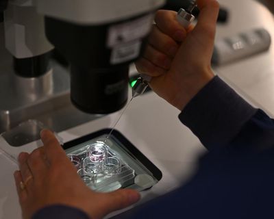 Patients go to court to stop embryos being destroyed after admin error