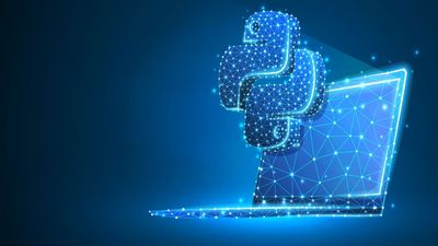 Python rejects $1.5m US government grant to avoid compromising ethics with anti-DEI policies