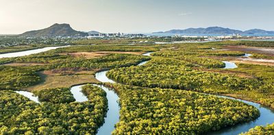 Labor’s environmental law overhaul: a little progress and a lot of compromise