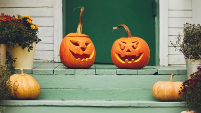 Here's what not to do with your pumpkin after Halloween — according to a garden expert