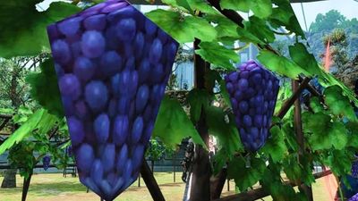 Final Fantasy 14's lovably polygonal grapes have snuck their way into Pokemon Legends: Z-A