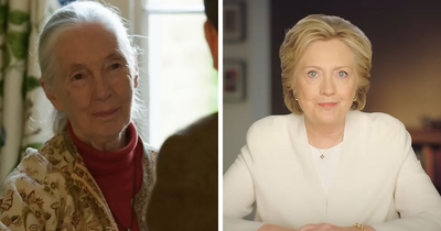 73 People Share Their Encounters With Celebrities