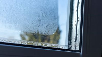 Why are the inside of my window panes fogging up? Glazing experts reveal all
