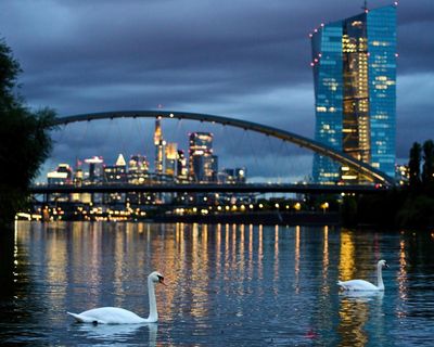 ECB keeps interest rates on hold despite eurozone inflation fears