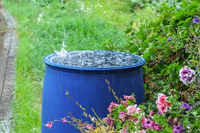 Why Rainwater Collection Is Easier in Fall