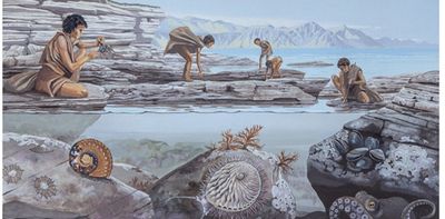 Where did the first people come from? The case for a coastal migration from southern Africa