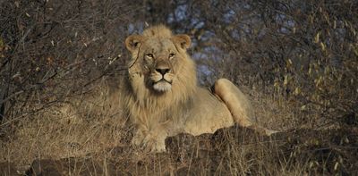 Some animals are more equal than others: the dark side of researching popular species