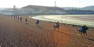 Breeders’ Cup 2025: all-conquering O’Brien arrives with sights on new record