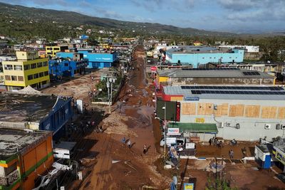 Hurricane Melissa hit areas vulnerable to landslides because of deforestation
