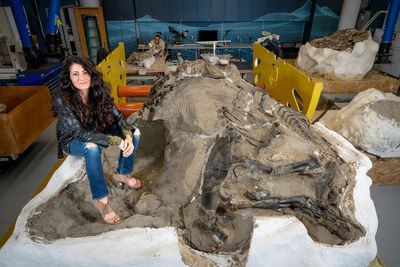 Newly discovered skeleton rewrites ‘decades of research’ over T. rex