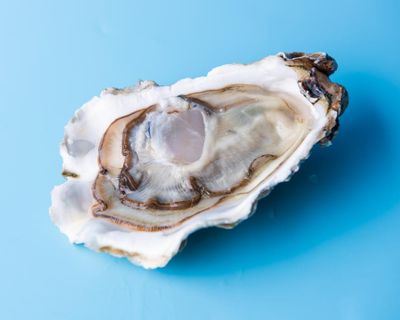 How one bad oyster did for the Liberal party