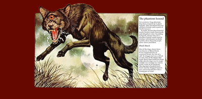 Scary stories for kids: All About Ghosts is a non-fiction book that gave me all the knowledge to spot spectres