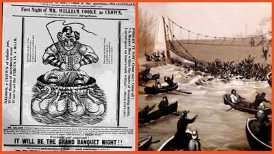 Crowd gathers to watch a clown in a bathtub pulled by 4 geese. What happened next wiped the smiles right off their faces