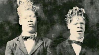 2 boys disappear from a tobacco field. 28 years later, their mother spots them performing as cannibals in a circus tent