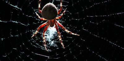 Spiders inspired biologists to create artificial webs to capture airborne DNA for biodiversity monitoring