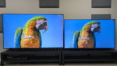 I put TCL’s affordable mini-LED TV and a Samsung QLED head-to-head, and here's where my money would go on Black Friday