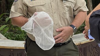 Call to end spit hood use after female prisoner's death