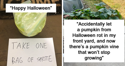 50 Photos Showing That Halloween Doesn’t Always Go According To Plan