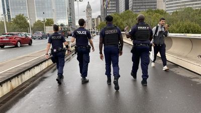 Two French police officers suspended after rape allegation